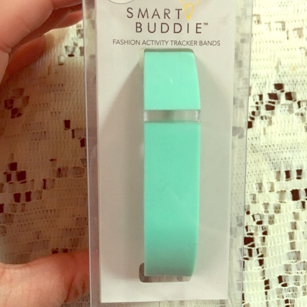 Fitbit Flex Band